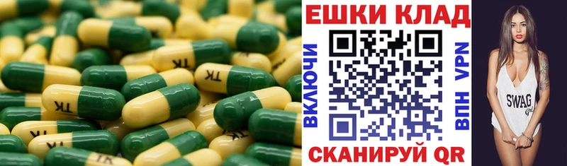 купить закладку omg зеркало Ecstasy Punisher Клинцы