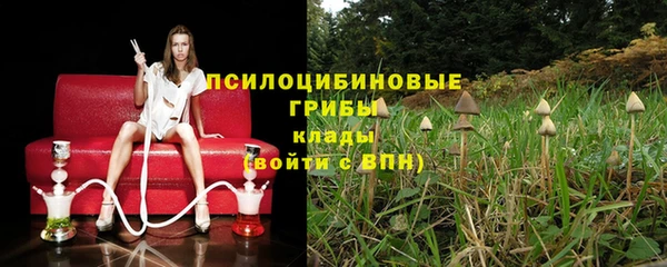 не бодяженный Абдулино