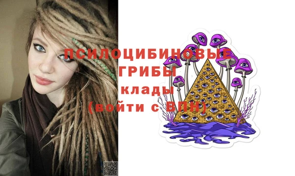 apvp Абинск