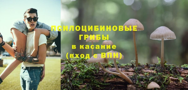 мдма Протвино