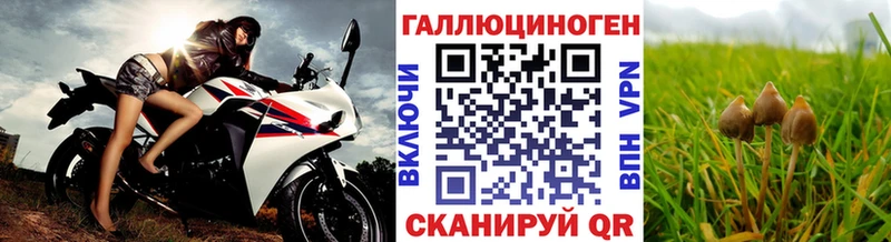 Галлюциногенные грибы GOLDEN TEACHER  сайты даркнета клад  Клинцы 