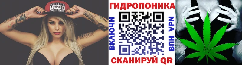 Каннабис Amnesia  Клинцы 